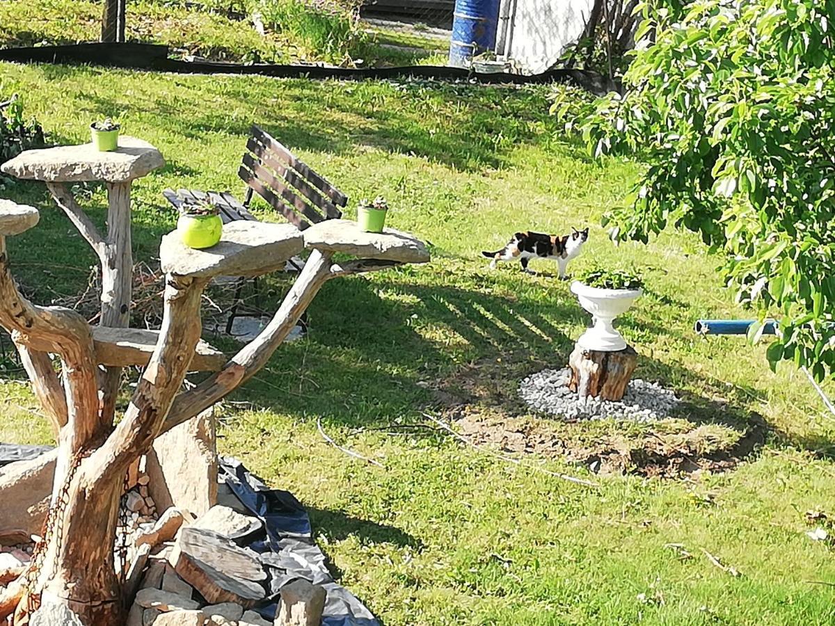 Apartmány MK Nové Hrady Esterno foto